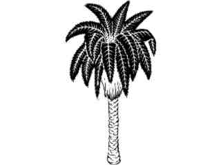  Trees_ Date Palm_ 1 5 8_ V A 1 Decal Proportional
