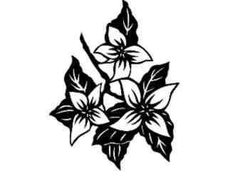  Trees_ Dogwood_ 1 5 7_ V A 1 Decal Proportional