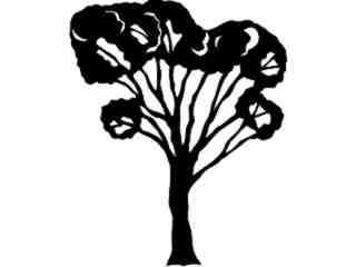 Trees_ Elm_ 1 5 7_ V A 1 Decal Proportional
