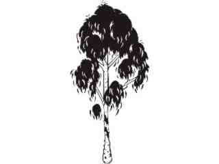  Trees_ Eucalyptus_ 1 5 8_ V A 1 Decal Proportional