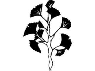  Trees_ Ginko_ 1 5 7_ V A 1 Decal Proportional
