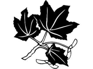  Trees_ Maple Leaves_ 1 5 7_ V A 1 Decal Proportional