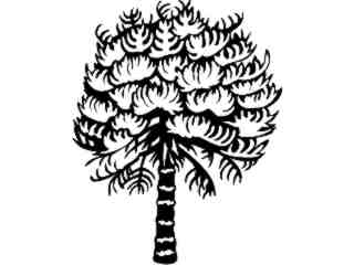  Trees_ Monkey Puzzle_ 1 5 8_ V A 1 Decal Proportional