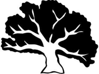  Trees_ Oak_ 1 5 7_ V A 1 Decal Proportional