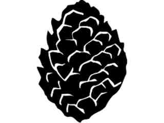  Trees_ Pine Cone_ 1 5 7_ V A 1 Decal Proportional