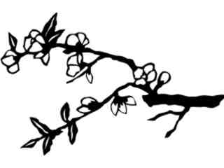  Trees_ Quince Branch_ 1 5 7_ V A 1 Decal Proportional