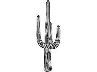  Trees_ Saguaro Cactus_ 1 5 8_ V A 1 Decal Proportional