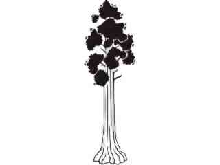  Trees_ Sequoia_ 1 5 8_ V A 1 Decal Proportional