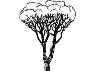  Trees_ Stone Pine_ 1 5 8_ V A 1 Decal Proportional