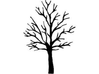  Trees_ Sugar Maple_ 1 5 7_ V A 1 Decal Proportional