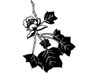  Trees_ Tulip_ 1 5 7_ V A 1 Decal Proportional