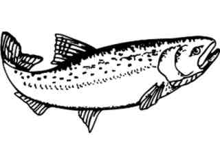  Trout Decal Proportional