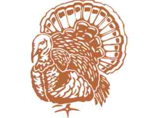  Turky Decal Proportional