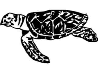  Turtle Sea Side Decal Proportional