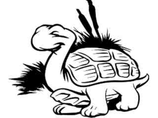  Turtle_ 0 4 4_ V A 1 Decal Proportional