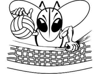  Volleyball Bee Hornet_ M B 1 Decal Proportional