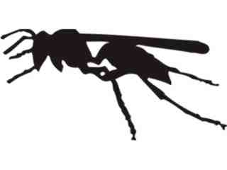 Wasp Decal Proportional