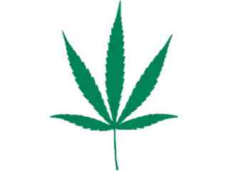  Weed 1 Decal Proportional