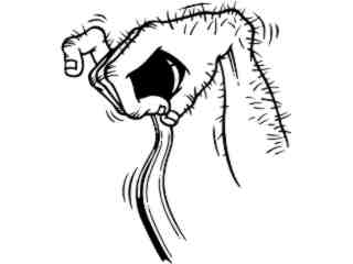  Wheelie Shifter Decal Proportional