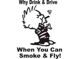  Why Drink Drive Smoke Weed Fly Decal Proportional