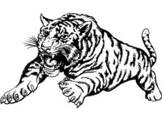  Wild Animals_ Attack Tiger M G_ P A 1_ D T L Decal Proportional