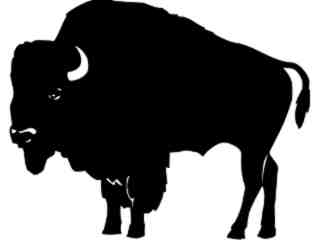  Wild Animals_ Bison_ P A 1 Decal Proportional