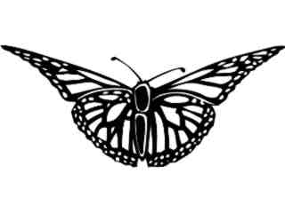  Wild Animals_ Butterfly 0 3_ P A 1 Decal Proportional