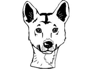  Wild Animals_ Dingo D H_ P A 1 Decal Proportional