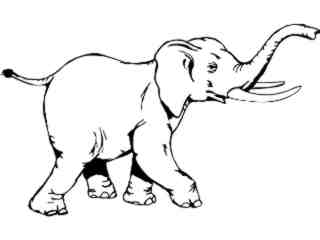  Wild Animals_ Elephant D H_ P A 1 Decal Proportional
