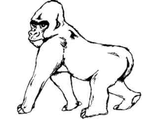  Wild Animals_ Gorilla 0 2 D H_ P A 1 Decal Proportional