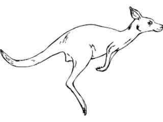  Wild Animals_ Kangaroo D H_ P A 1 Decal Proportional