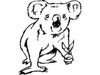  Wild Animals_ Koala 0 1 D H_ P A 1 Decal Proportional