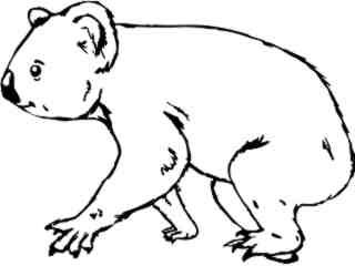  Wild Animals_ Koala 0 2 D H_ P A 1 Decal Proportional