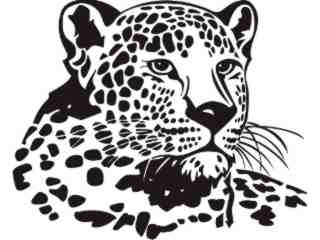  Wild Animals_ Leopard_ P A 1 Decal Proportional