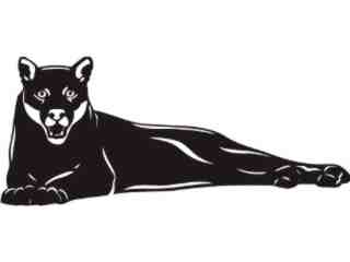  Wild Animals_ Puma_ P A 1 Decal Proportional