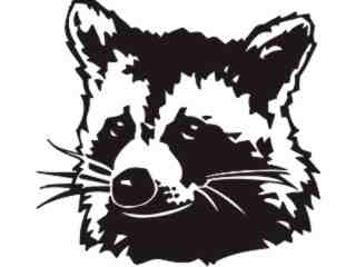  Wild Animals_ Raccoon_ P A 1 Decal Proportional