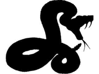  Wild Animals_ Rattlesnake M G_ P A 1 Decal Proportional