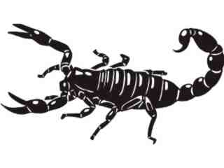  Wild Animals_ Scorpion_ P A 1 Decal Proportional