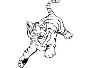  Wild Animals_ Tiger D H_ P A 1 Decal Proportional
