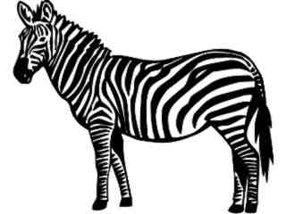  Wild Animals_ Zebra_ P A 1 Decal Proportional
