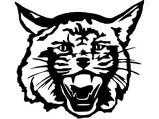  Wild Cat Decal Proportional