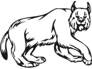  Wild Cat Animal Wild_ 0 4 5a Decal Proportional