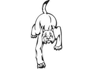  Wild Cat Animal Wild_ 0 4 7a Decal Proportional