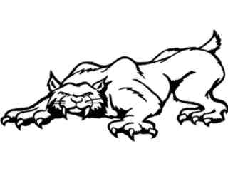  Wildcat_ 0 4 1_ V A 1 Decal Proportional