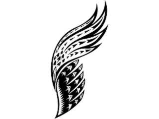  Wings_ 0 0 1 6 Decal Proportional