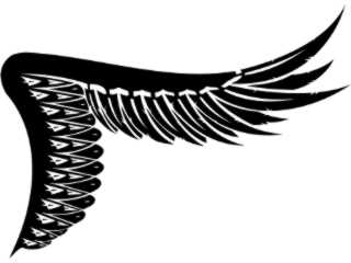  Wings_ 0 0 2 7 Decal Proportional