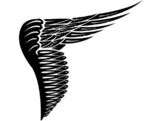  Wings_ 0 0 3 5 Decal Proportional