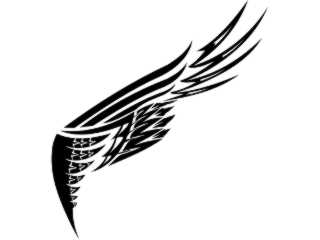  Wings_ 0 0 3 8 Decal Proportional