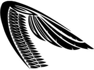  Wings_ 0 0 3 9 Decal Proportional