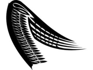  Wings_ 0 0 4 0 Decal Proportional